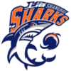 上海大鯊魚U21