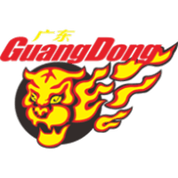 廣東華南虎